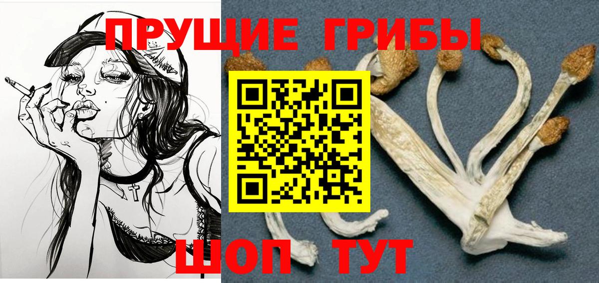 Псилоцибиновые грибы мицелий Шелехов