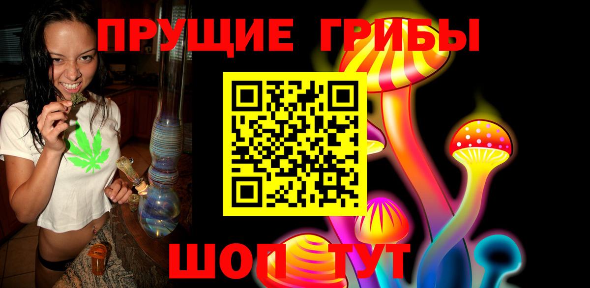Шелехов  Галлюциногенные грибы Cubensis  купить наркоту  Вход с VPN 